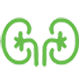 icon1